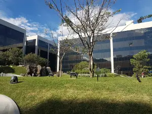 América Free Zone