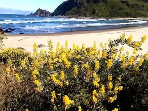 playa chica millaneco lebu chile