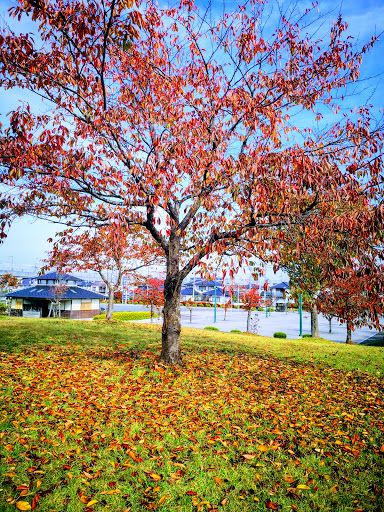 Arao Park