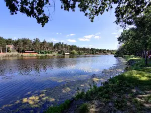 Baza Vidpochynku Budivelʹnyk
