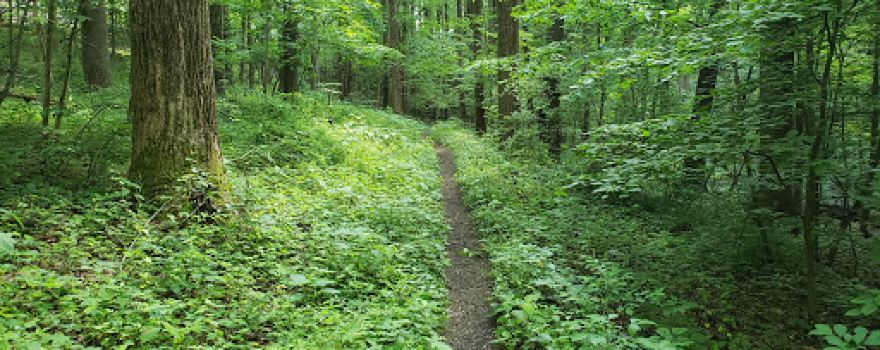 Antietam Lake Park: Seidel Road Trailhead