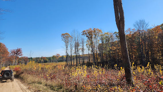 Roscommon State Forest Area