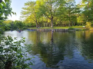 Rio Vista Park