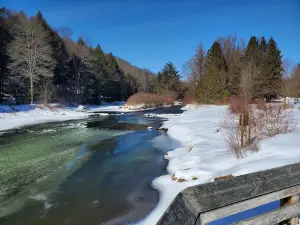 Bendigo State Park