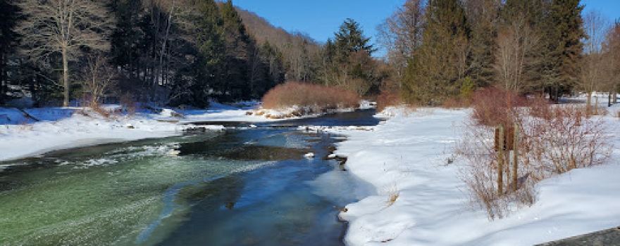 Bendigo State Park