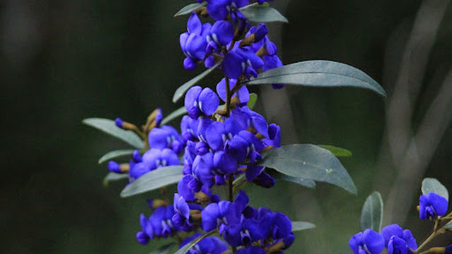 Carey Brook - Snottygobble Loop