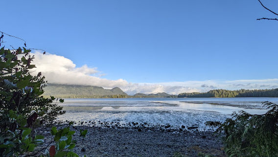 Tofino Mudflats Wildlife Management Area