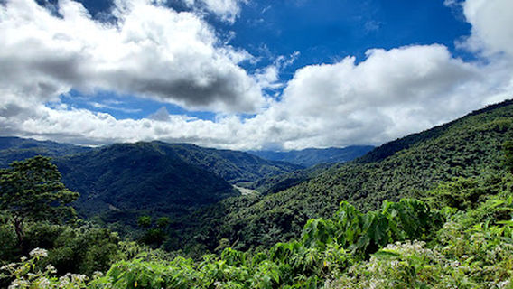 Mt. Baliis - Sea of Clouds