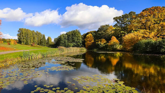Myślęcinek Leśny Park Kultury i Wypoczynku