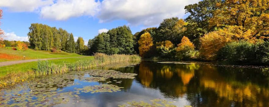 Myślęcinek Leśny Park Kultury i Wypoczynku