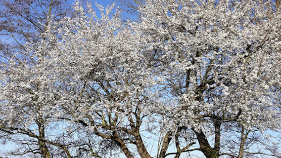Wald- und Seeblick Camp GmbH