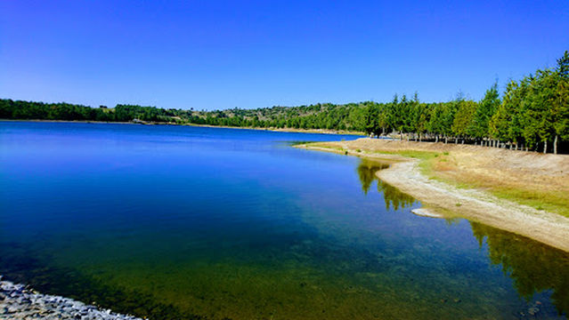 Camping Village Flower Park