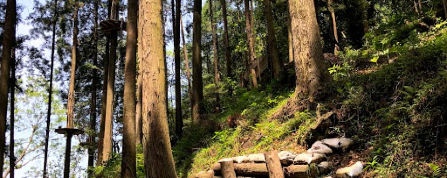 Forest Adventure Osumi