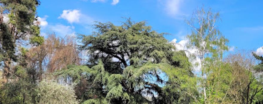 Parc Municipal de Rantigny