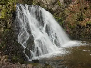 Fairy Glen Falls Trail Head Car Park