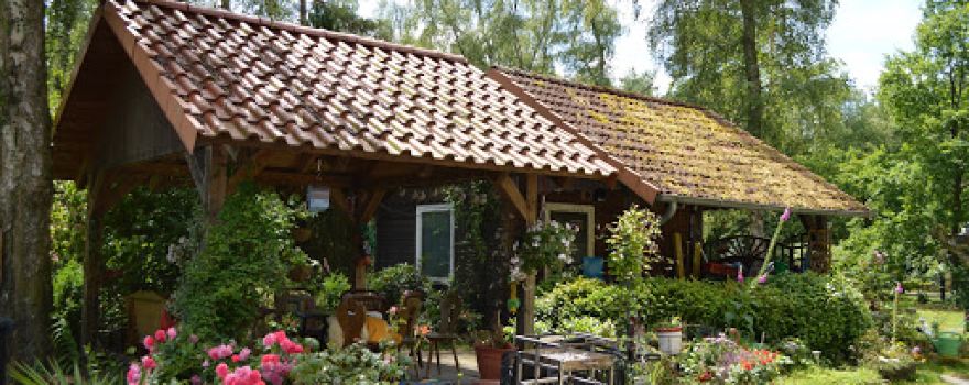 Campingplatz Waldhaus Allertal