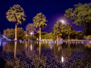 King Fahd Park