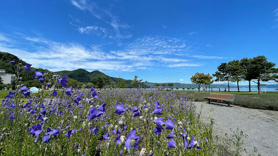 Toyako