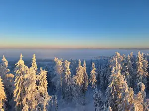 Väisälänmäki