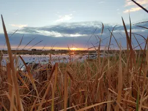 Mendota Wildlife Area Headquarters