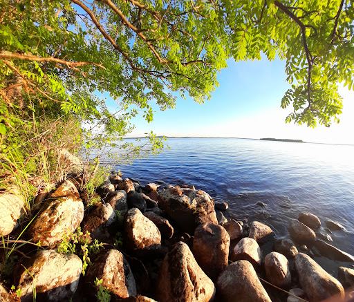 Lintuniemi Nature Preserve