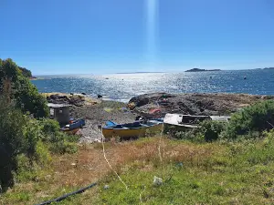 Caleta Puelche
