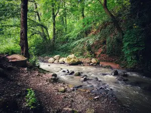 Kuzuluk Tabiat Parkı