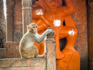 Bhadrakali Mata Temple