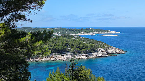 Vis