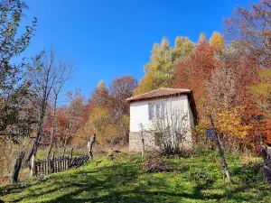 Landscape Of Outstanding Features "Vlasina"