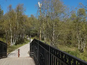 Park Zakhrebetnaya Kur'ya