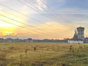 Hutan Kota Kalidoro