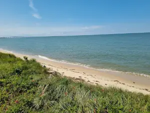 Chesapeake Bay Bridge Scenic Overview 1995