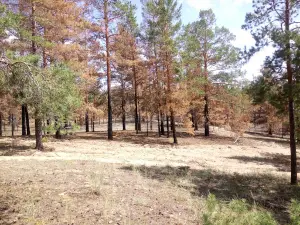 Spot Shul'binskaya Bukhta
