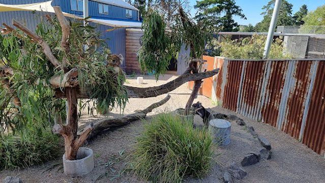 The Funky Farm (Bookings Only)