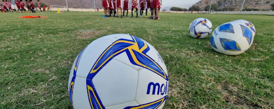 Crescent Stadium Sports Team
