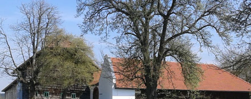 Theater Meggenhofen