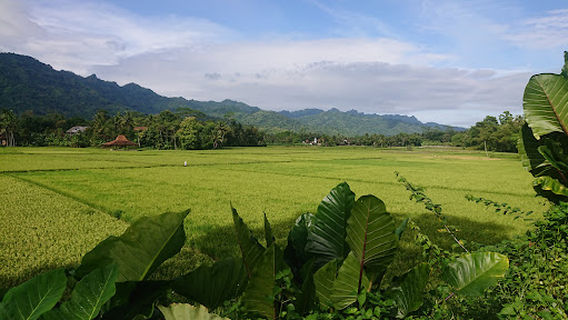Borobudur