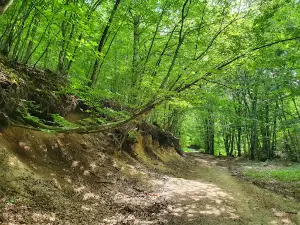 Parco Regionale del Matese