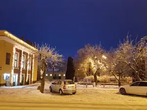 Kino Metalowiec