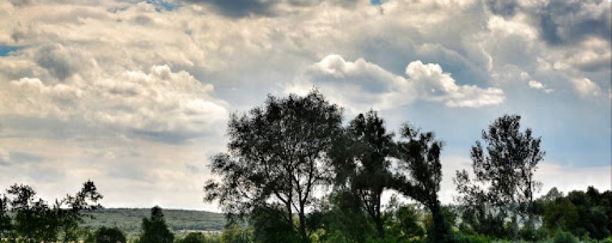 Batthyanyfeld Nature Reserve
