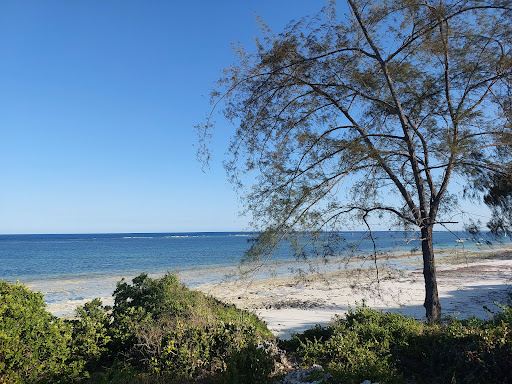 Woza Woza Diani Beach Camping and Fun Zone
