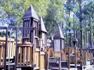 Build A Dream Park