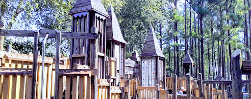 Build A Dream Park
