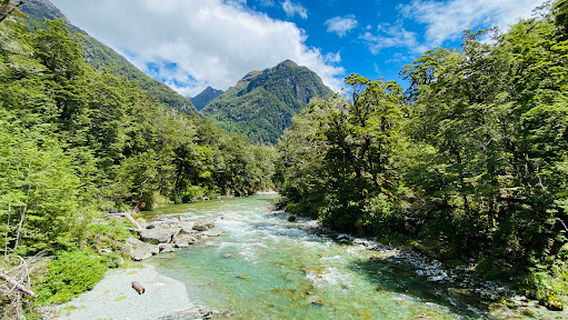 Routeburn Nature Walk