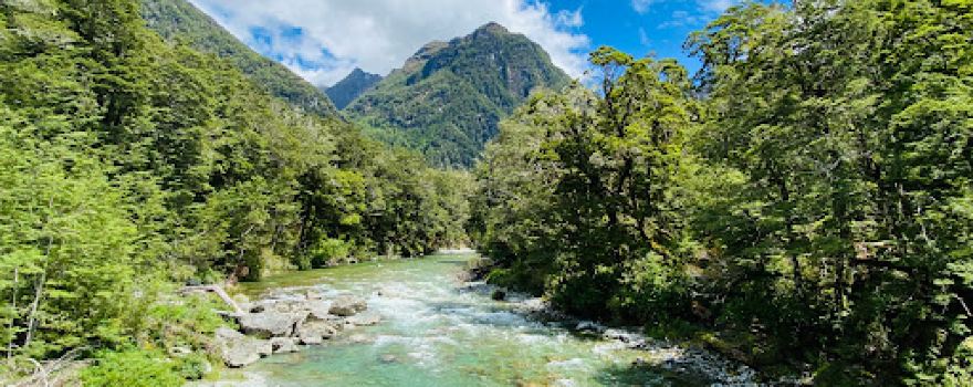 Routeburn Nature Walk