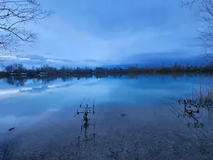 Gigantica