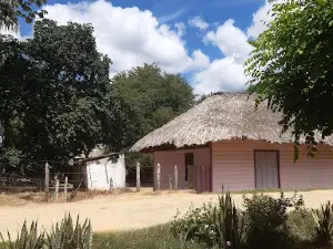 Pijiguayal, Ciénaga de Oro, Córdoba