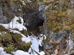 cave "big failure"