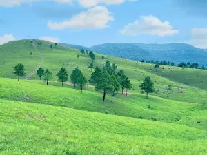 Đỉnh Phượng Hoàng